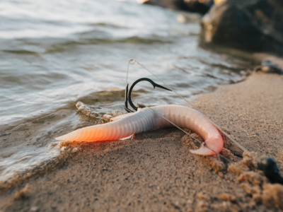 Exact step-by-step shore rig for presenting whole lugworm on soft sand to outfish local anglers for sole